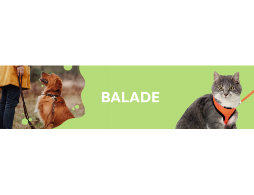 BALADE
