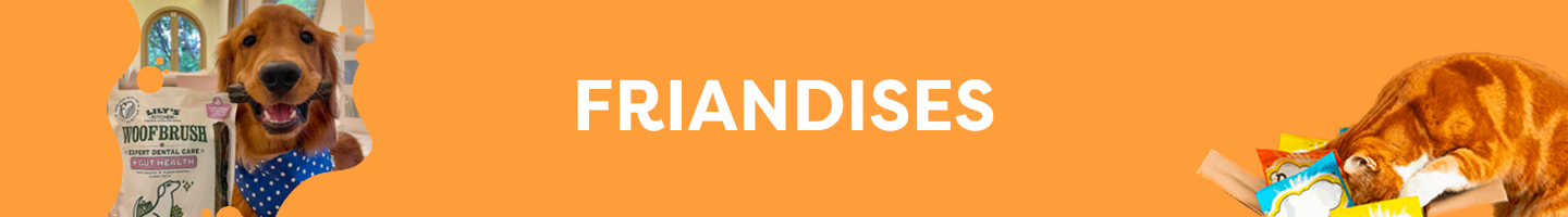 FRIANDISES