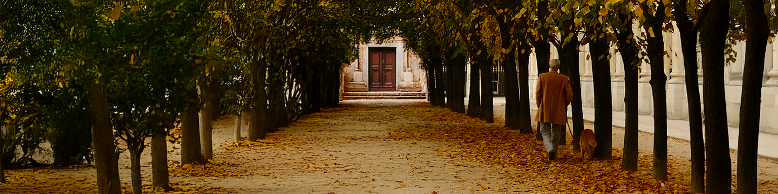 Automne