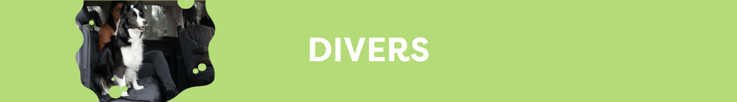 DIVERS BALADE