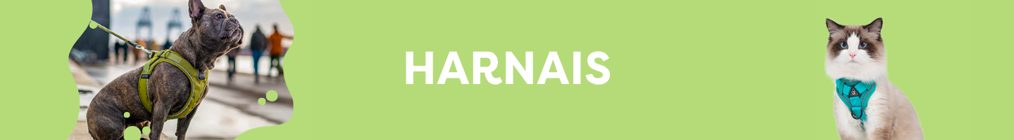 HARNAIS