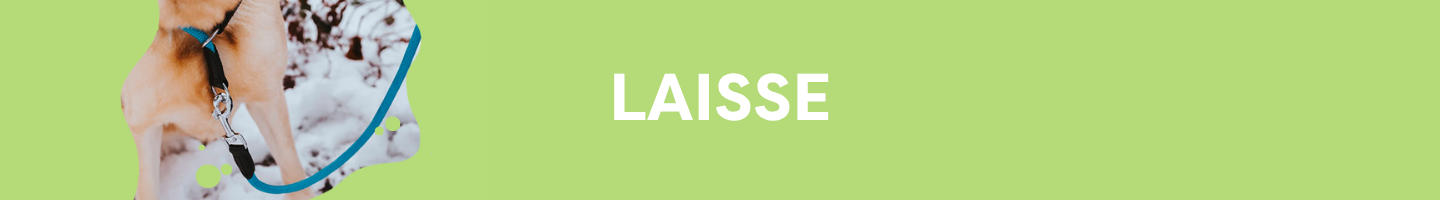 LAISSE