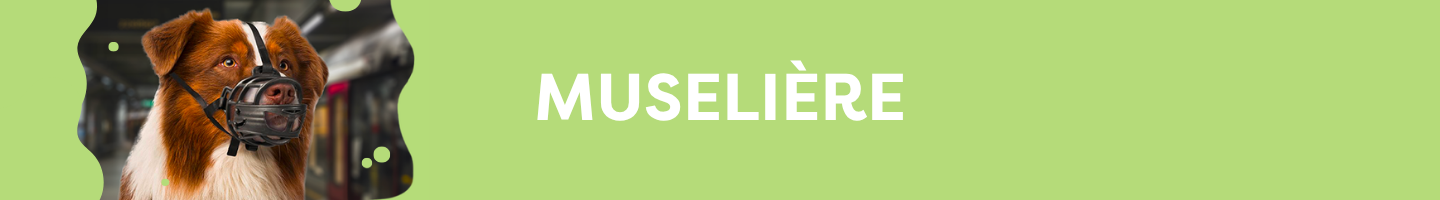 MUSELIERE