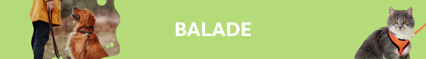 BALADE