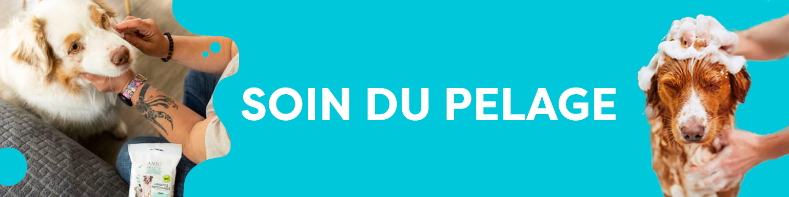 SOIN DU PELAGE
