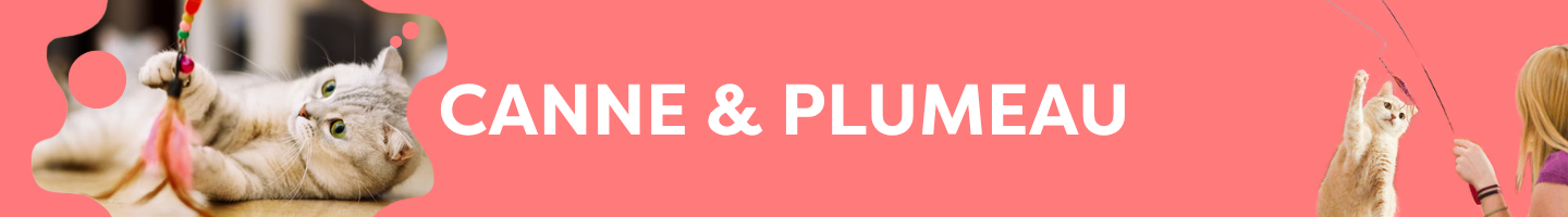 CANNE ET PLUMEAU