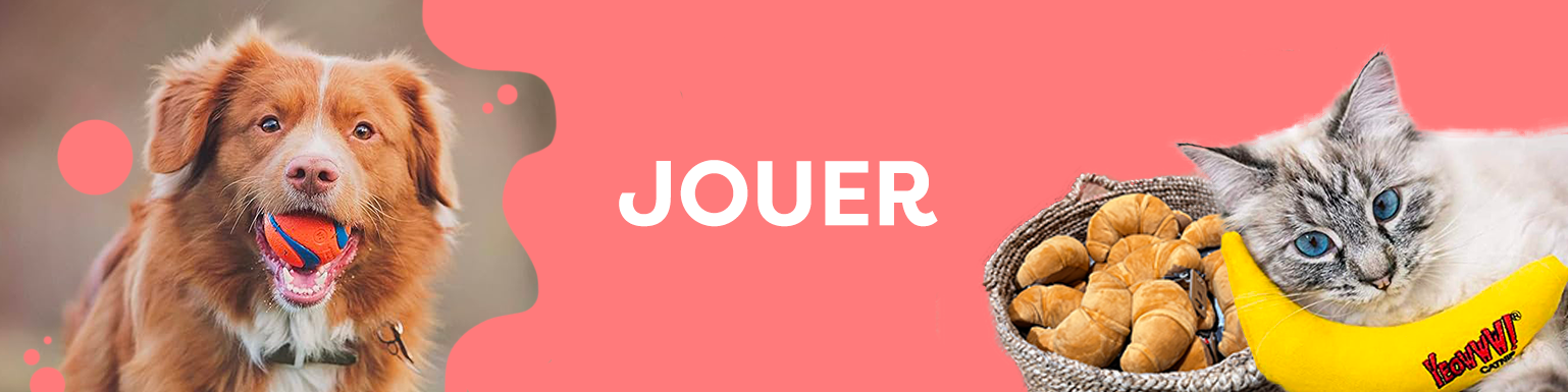 Jouet