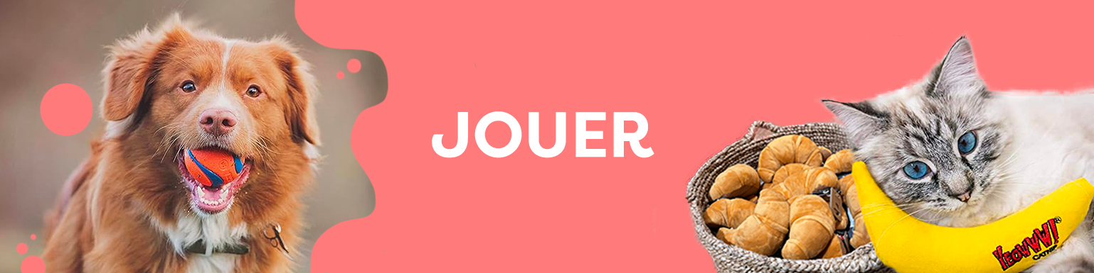 JOUET