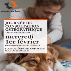 Prenez RDV dès maintenant 🐱🐶

Lola Ostéopathe sera chez Moustaches Saint-Germain ce mercredi pour prendre en consultation votre chien ou chat ! 

#osteopatheanimalier #osteopathechien #osteopathechat #moustaches