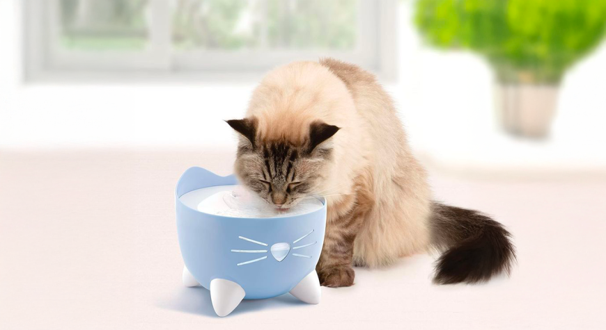 Voici 5 raisons pour lesquelles votre chat a besoin d’une fontaine