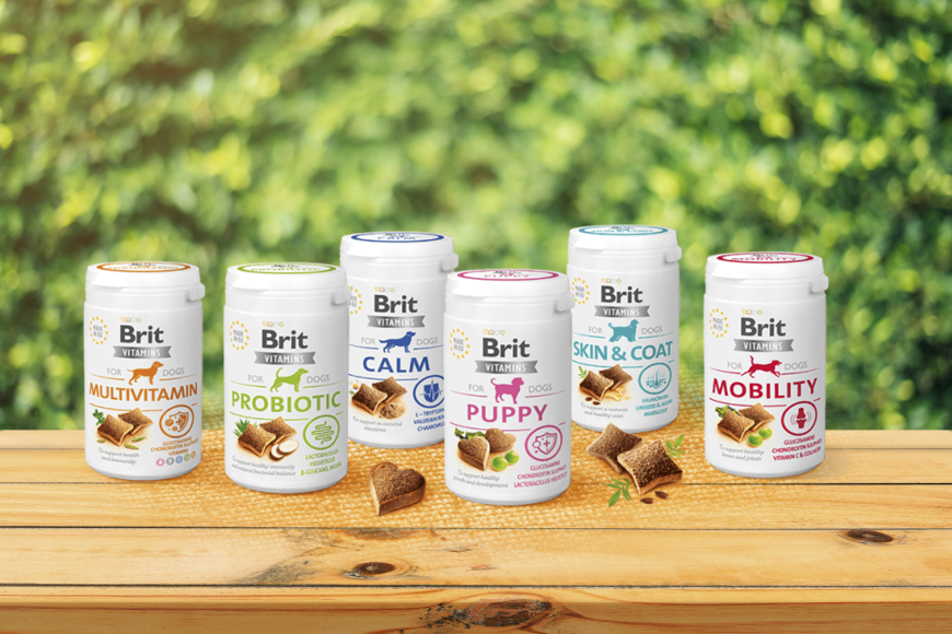 Des Vitamines pour Chien ?