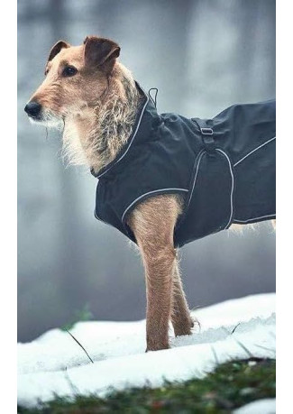 Tout savoir sur les manteaux pour chiens : Style, Confort et Sécurité