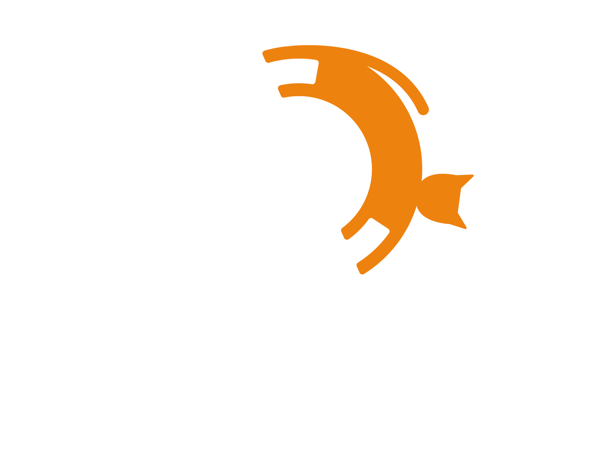 Moustaches